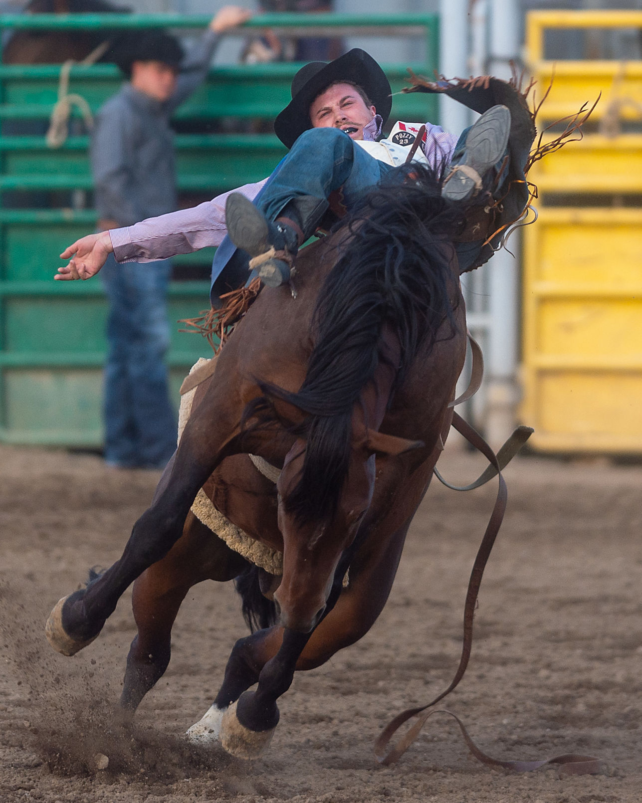 Magic Valley Stampede full of thrills